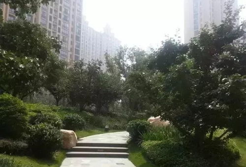 園林綠化工程施工技術(shù)規(guī)范 值得深入學(xué)習(xí)的專業(yè)指南
